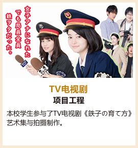 TV电视剧