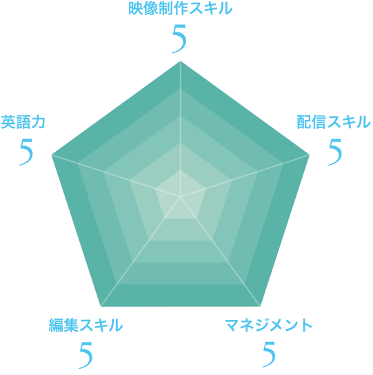 レーダーチャート
